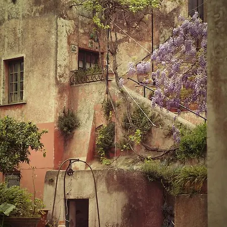 Dependance In Con Giardino Apartamento