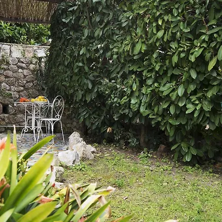 Apartamento Dependance In Con Giardino Capri