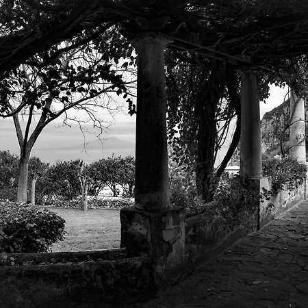 Apartamento Dependance In Con Giardino